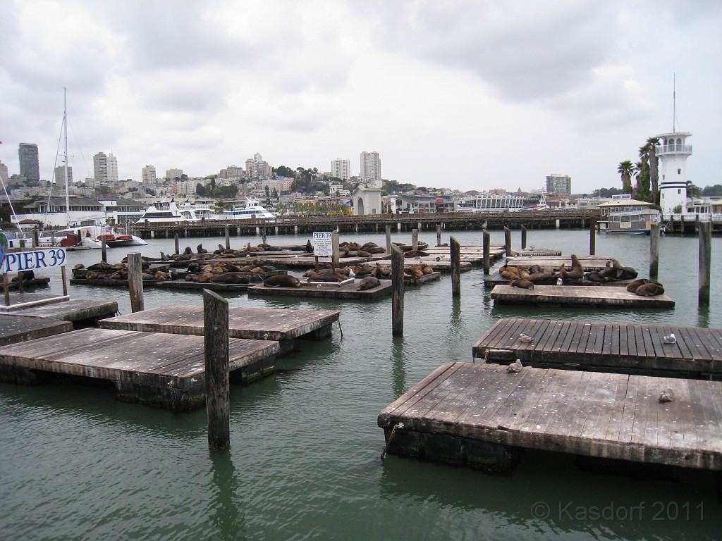 2011 Bay 2 Breakers Saturday 0285.JPG - I was able to participate in the 2011, 100th anniversary of the San Francisco Bay to Breakers 12K race. A great weekend for sight seeing and racing.